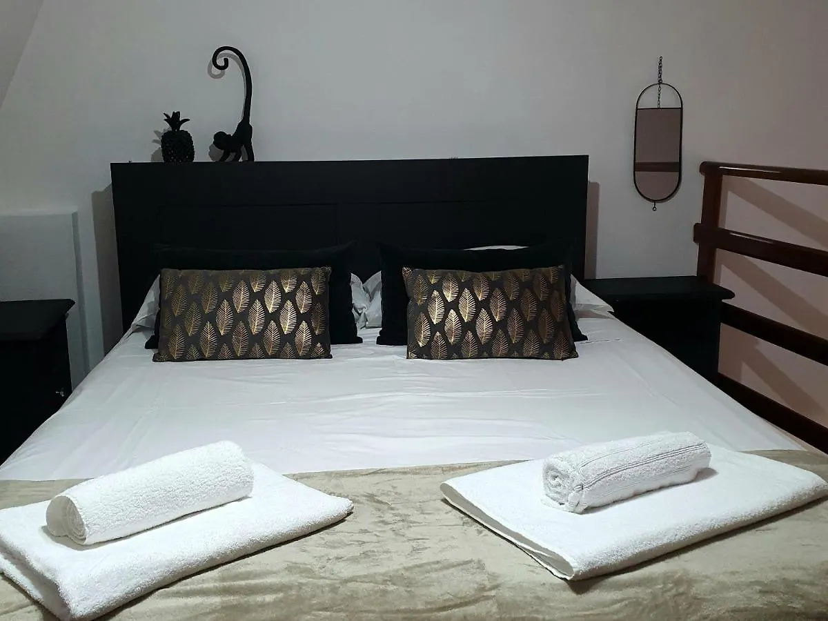 Loft 5C - Palatino Apartment Rome 0*,